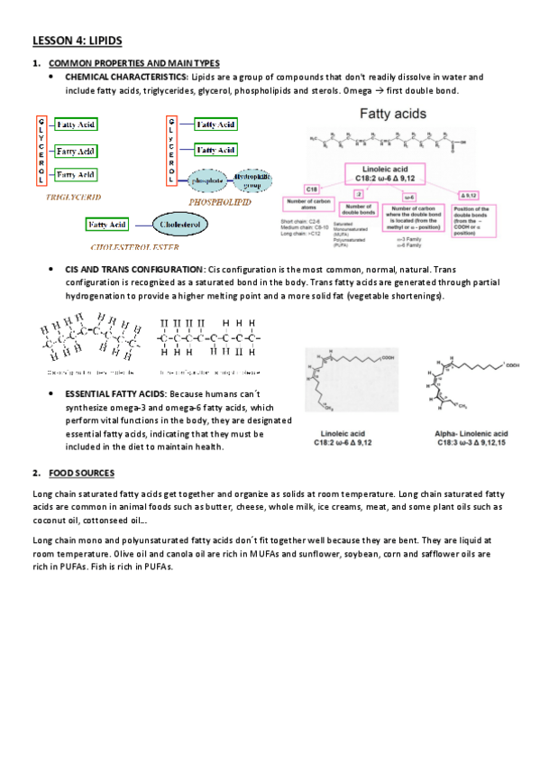 Miniatura del documento LESSON-4.pdf