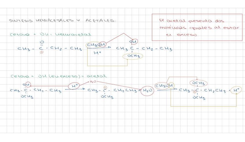 Miniatura del documento REACCIONES-GRUPO-CARBONILO.pdf