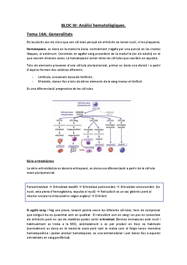 Miniatura del documento Segon parcial tot.pdf