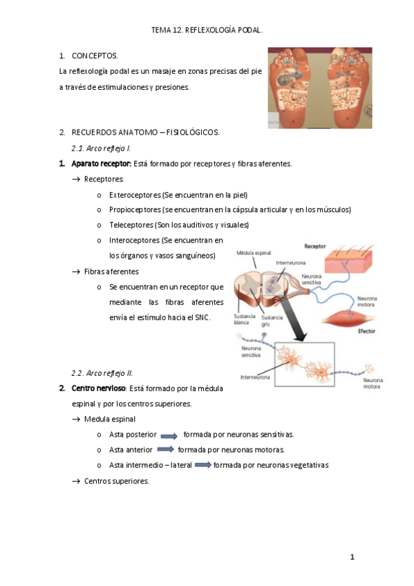 Miniatura del documento tema-12.pdf