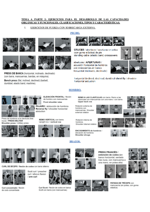 Miniatura del documento TEMA-4-PARTE-2.pdf