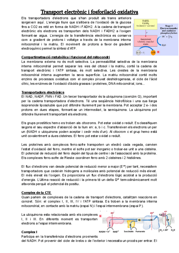 Miniatura del documento 2n-parcial-5.pdf