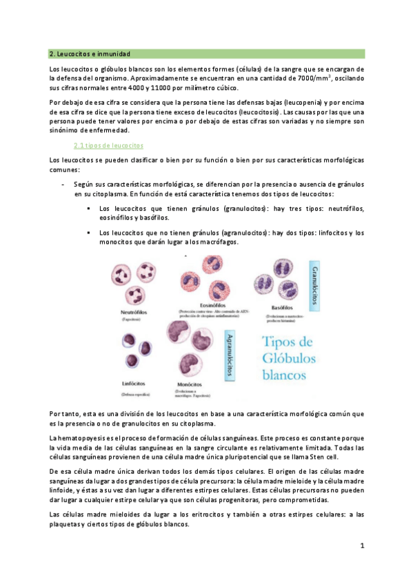 Miniatura del documento 2.1. Leucocitos e inmunidad
