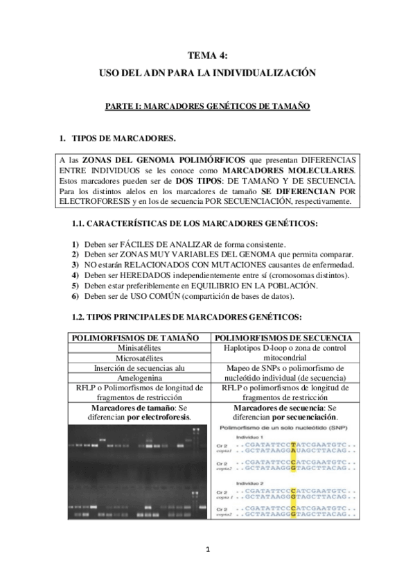 Miniatura del documento TEMA-4.pdf