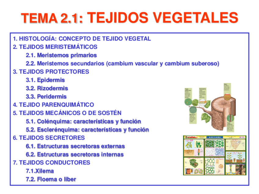 Miniatura del documento Tema-2.pdf