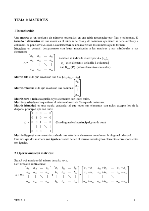 Miniatura del documento TEMAS.pdf