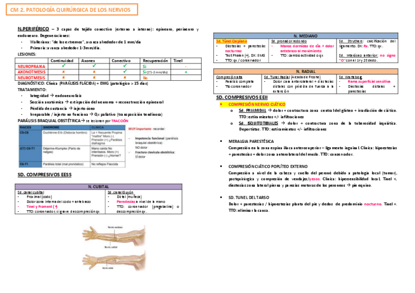 Miniatura del documento Resumenes-trauma.pdf