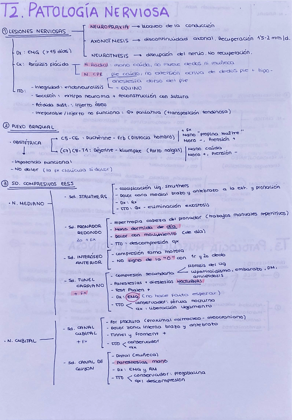 Miniatura del documento Resumenes-trauma.pdf