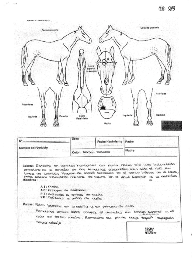 Miniatura del documento Resenas.pdf