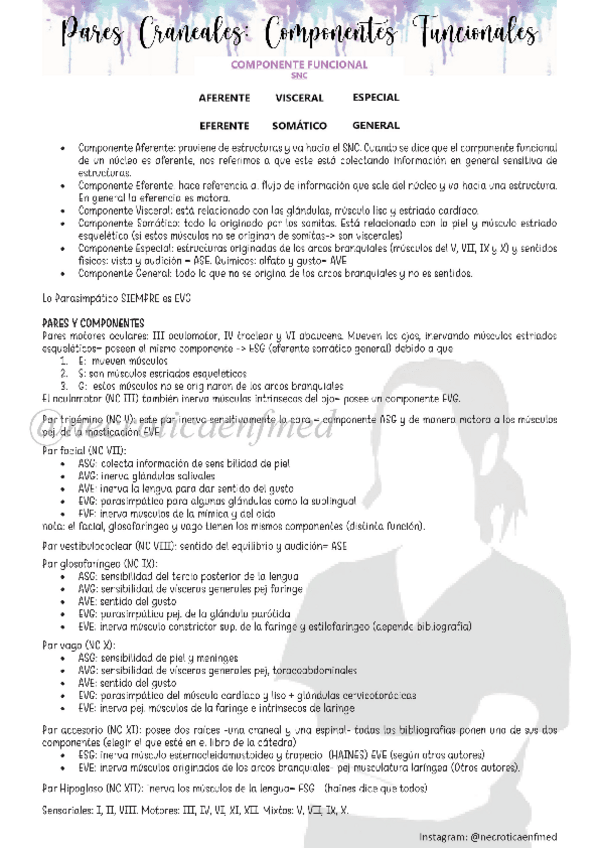 Miniatura del documento N4-Pares-Craneales.pdf