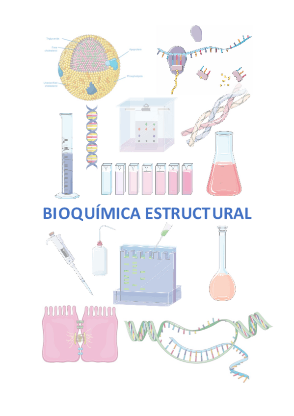 Miniatura del documento Apuntes-Bioquimica-Estructural.pdf