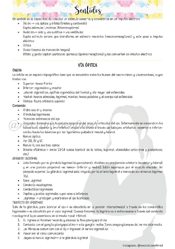 Miniatura del documento N7-Sentidos.pdf