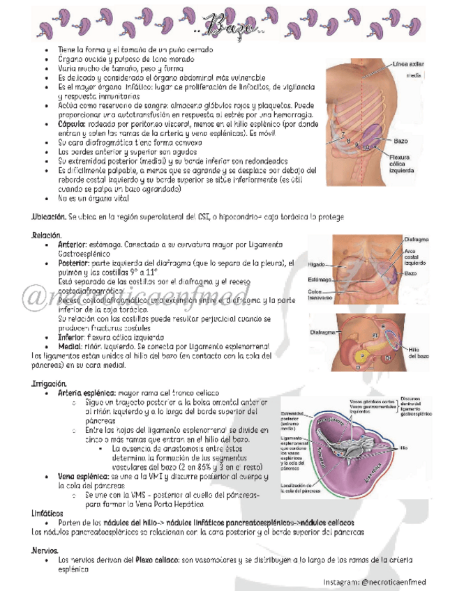 Miniatura del documento Bazo.pdf