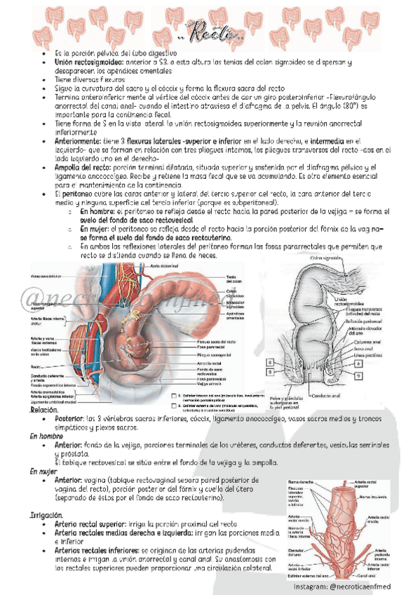 Miniatura del documento Recto.pdf