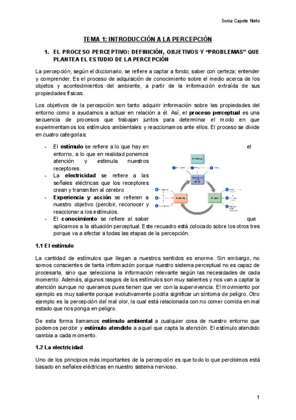 Miniatura del documento TEMA-1-INTRODUCCION-A-LA-PERCEPCION-Documentos-de-Google.pdf