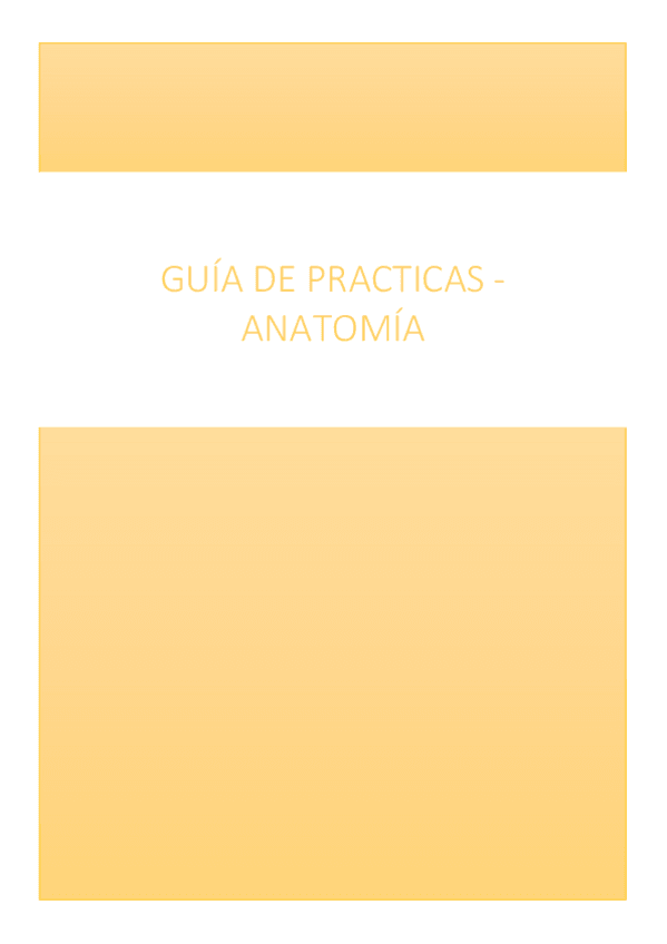 Miniatura del documento Guia-de-practicas.pdf