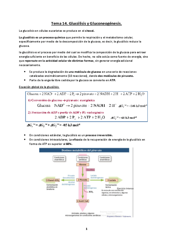 Miniatura del documento Tema-14.pdf