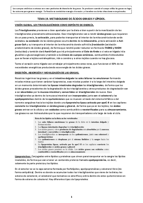 Miniatura del documento Tema-19.pdf