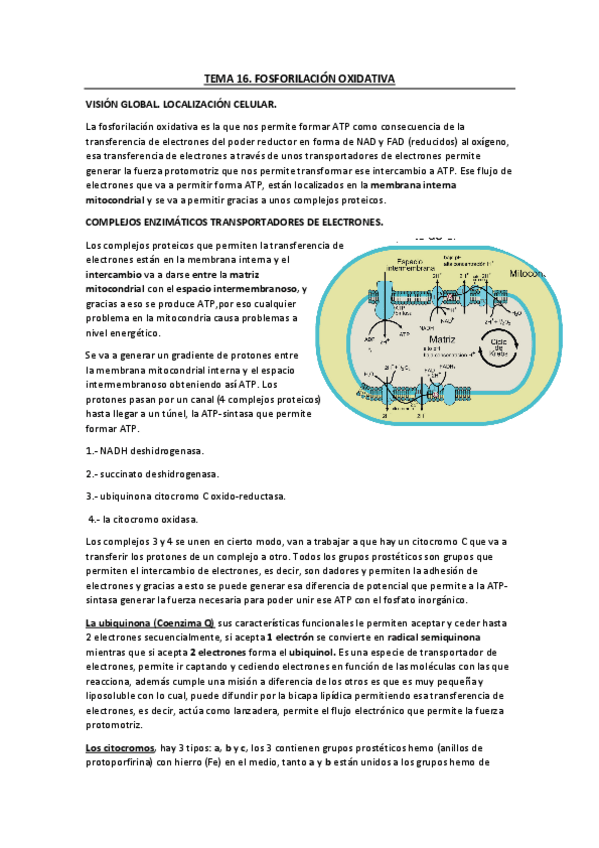 Miniatura del documento Tema-16.pdf
