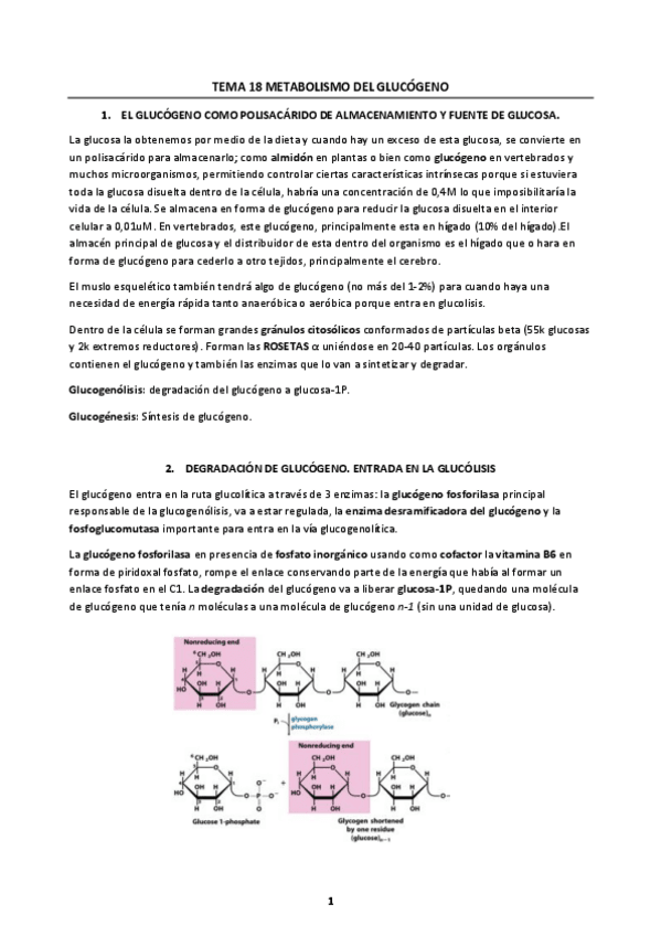 Miniatura del documento Tema-18.pdf