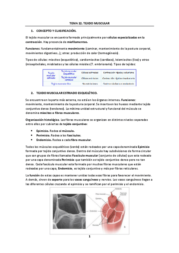 Miniatura del documento Tema-12.pdf