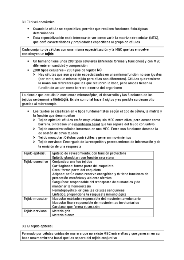 Miniatura del documento UD3-El-nivel-anatomico.pdf