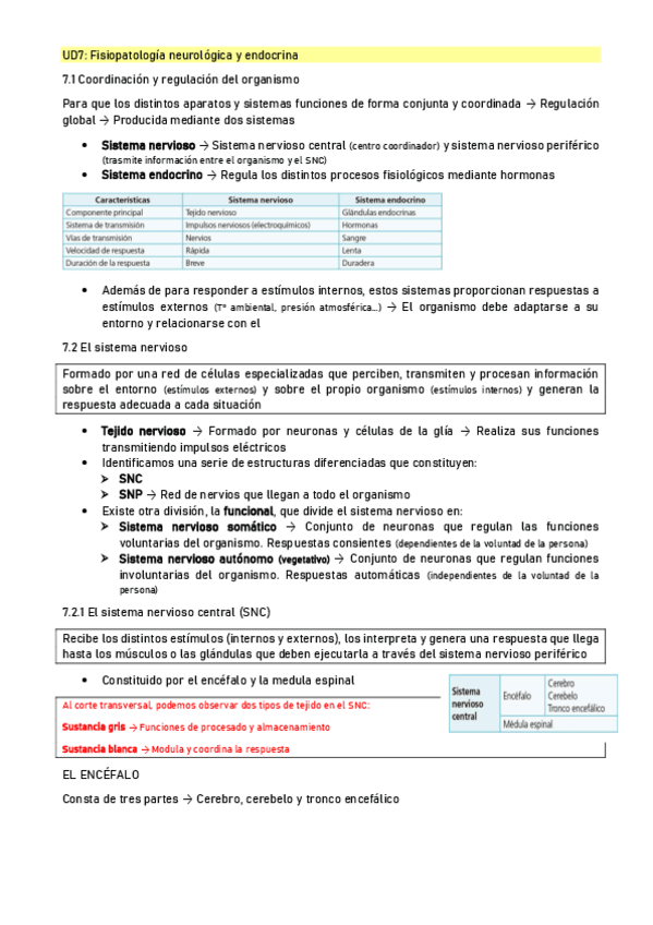 Miniatura del documento UD7-Fisiopatologia-neurologica-y-enocrina.pdf