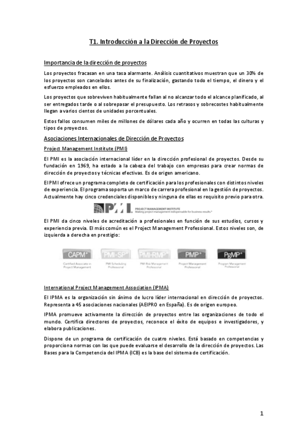 Miniatura del documento DIPT1.pdf