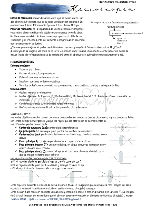 Miniatura del documento Microscopía.pdf