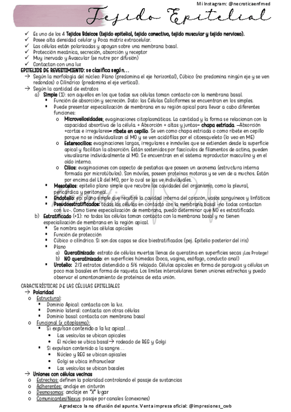 Miniatura del documento Tejido-Epitelial-necroticaenfmed.pdf