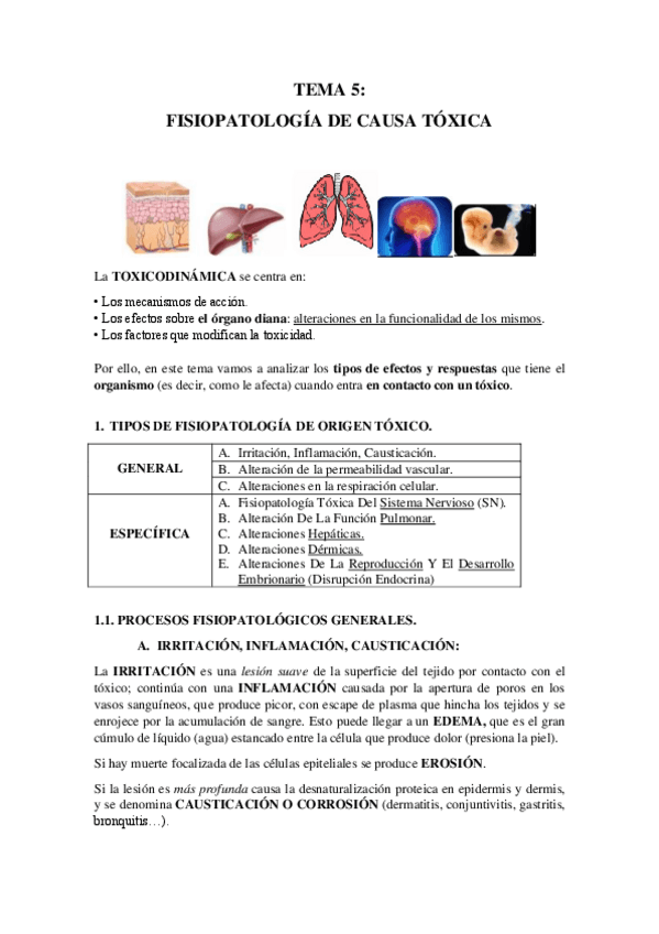 Miniatura del documento TEMA-5-FINAL.pdf