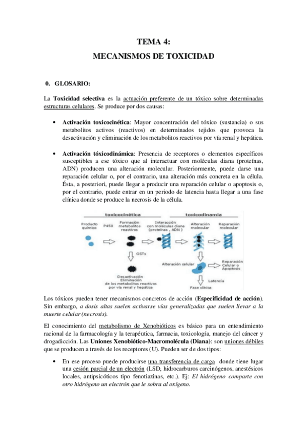 Miniatura del documento TEMA-4-FINAL.pdf