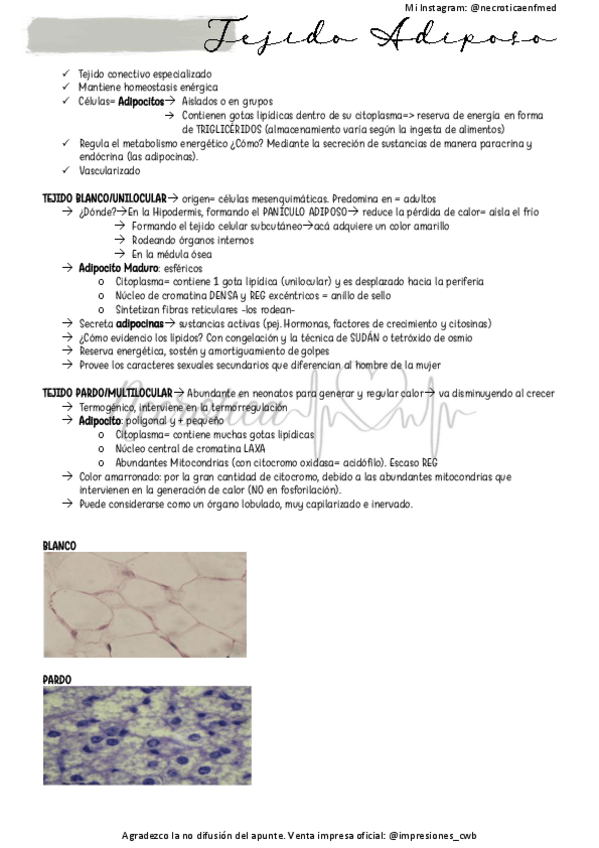 Miniatura del documento Tejido-Adiposo.pdf