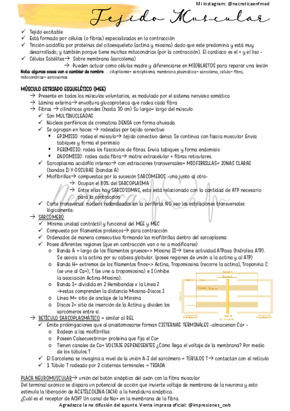 Miniatura del documento Muscular versión 2.pdf