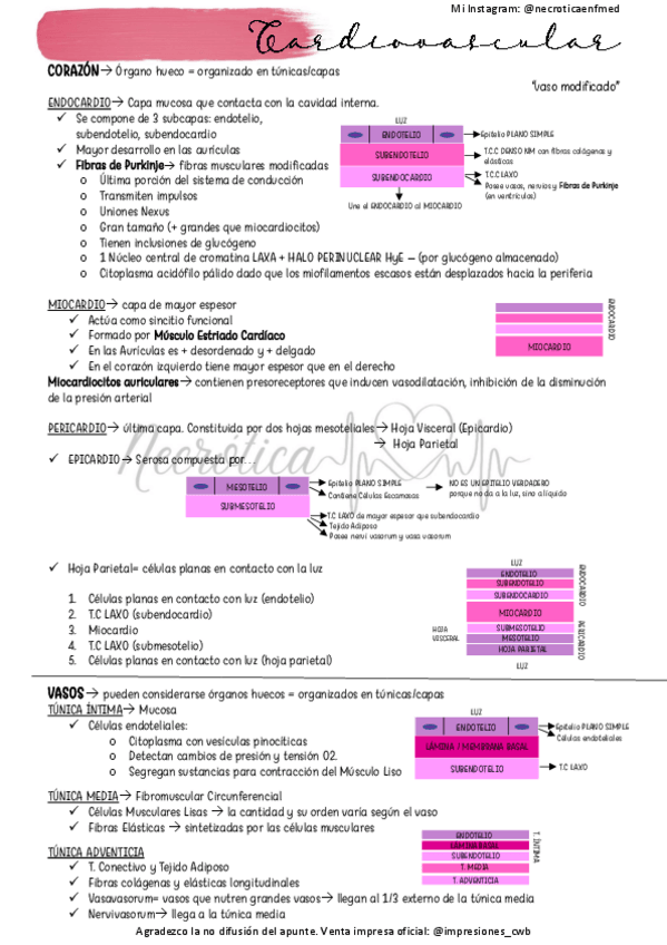 Miniatura del documento Cardiovascular.pdf