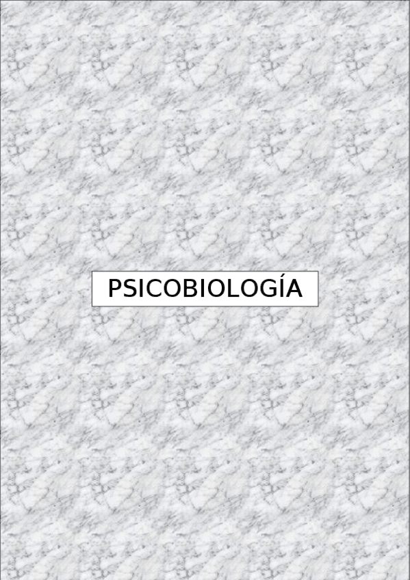 Miniatura del documento APUNTES.docx