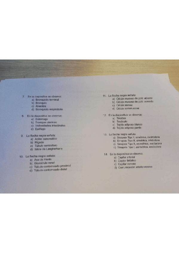 Miniatura del documento k.pdf