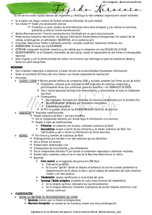 Miniatura del documento Tejido-y-Sistema-Nervioso.pdf