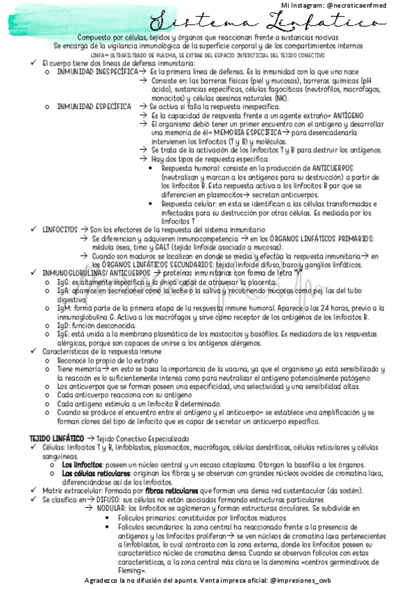 Miniatura del documento Tejido-Linfatico.pdf