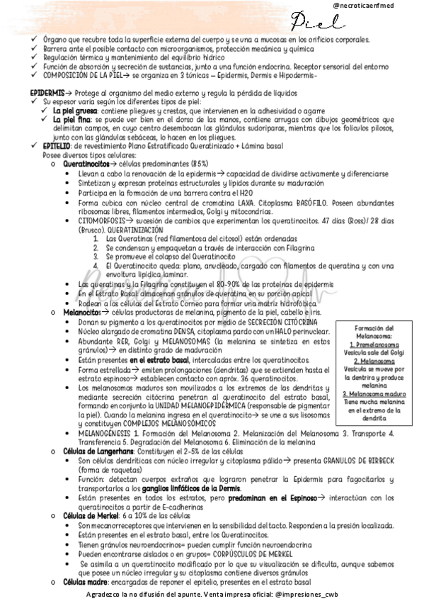 Miniatura del documento Piel.pdf