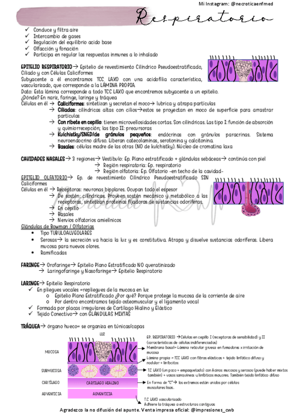 Miniatura del documento Respiratorio.pdf