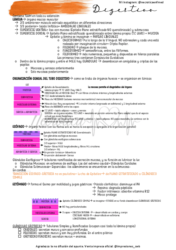 Miniatura del documento Digestivo-y-anexas.pdf