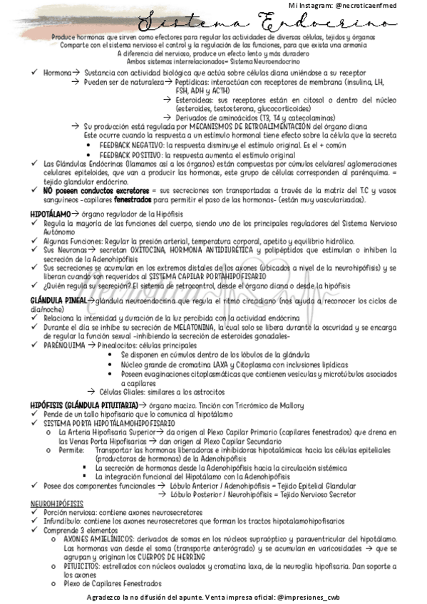 Miniatura del documento Endocrino.pdf