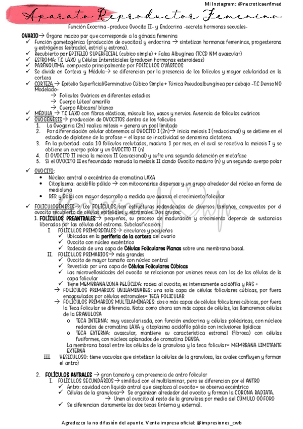 Miniatura del documento Femenino.pdf