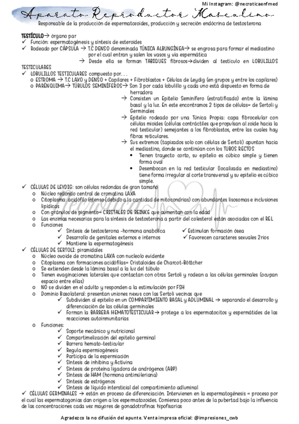 Miniatura del documento Masculino.pdf
