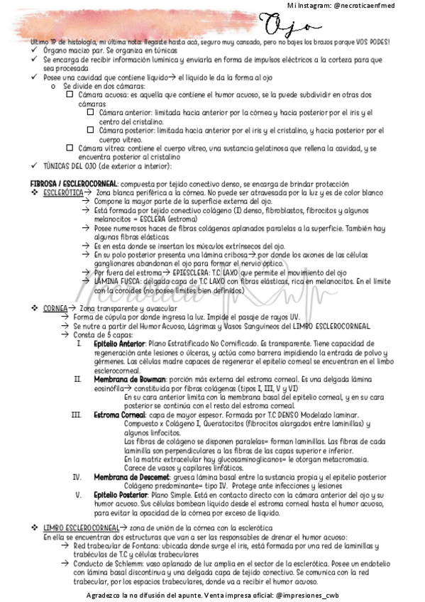 Miniatura del documento Ojo.pdf