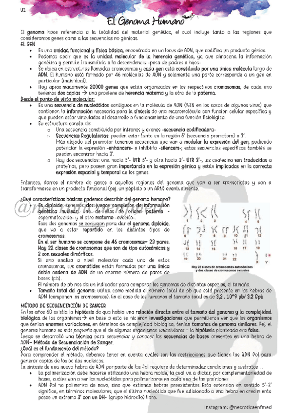 Miniatura del documento Genoma-Humano-necroticaenfmed.pdf