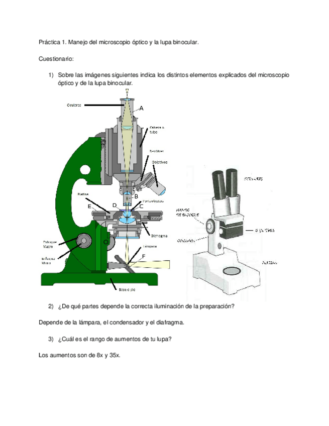 Miniatura del documento Recopilación de preguntas de las prácticas_.docx