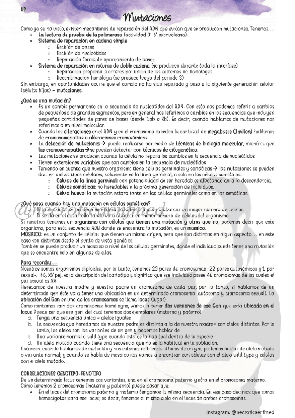 Miniatura del documento Mutaciones-necroticaenfmed.pdf