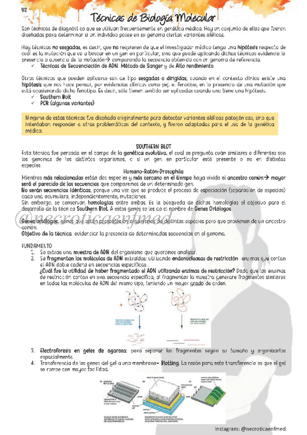 Miniatura del documento Tecnicas-de-Biologia-Molecular-necroticaenfmed.pdf